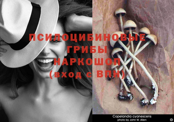 прущие крисы Вяземский