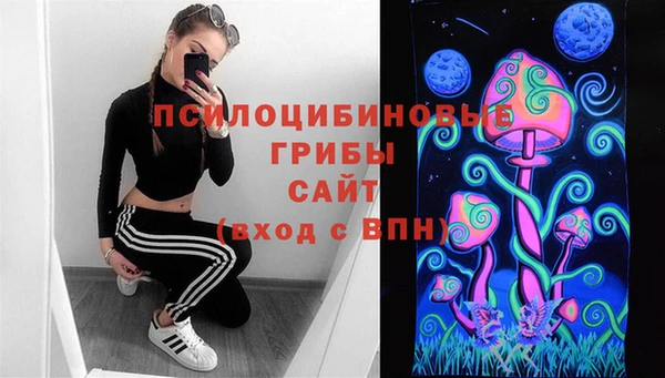 прущие крисы Вяземский