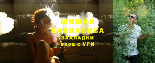 прущие крисы Вяземский