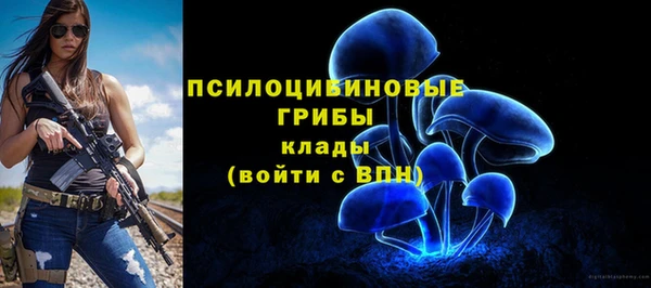 прущие крисы Вяземский