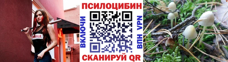 Купить закладки  Михайлов  Псилоцибиновые грибы Psilocybe 